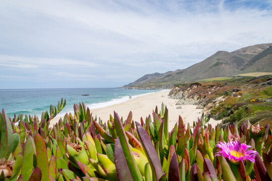 Big Sur Color