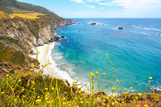 Coastal Life
