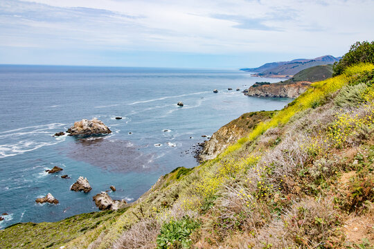 California Spring bluff