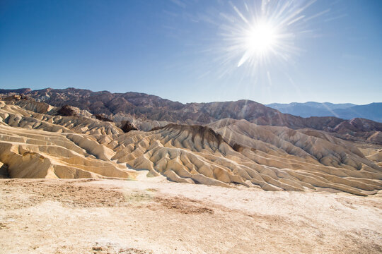 Desert Lines
