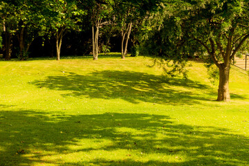 A view of a grass field against a background of trees, in a corner of the city of Aberdeen, United Kingdom, on the morning of July 1, 2015.