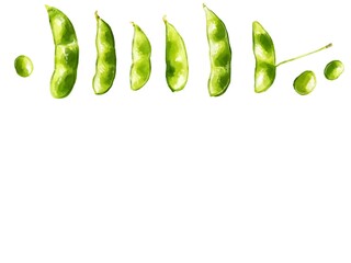 手描き水彩の枝豆（茶豆）イラスト長方形フレーム・上