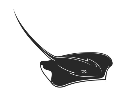 Ray, stingray or cramp fish vector black silhouette of sea and ocean underwater animal. Isolated marine fish of giant whiptail stingray