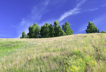 The slope of the green hill