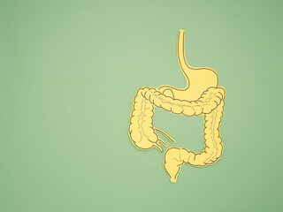 A large intestine shape made from paper on a green background