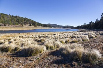 Big Laguna Lake Shore Grassland and Alpine Meadows Panoramic Landscape. Scenic Hiking in Cleveland National Forest, Southern California on a cold and sunny winter day 