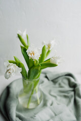 Fototapeta na wymiar selective focus a bouquet of small white openwork tulips with green stems in a transparent vase in a cozy atmosphere. spring mood, floral content