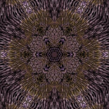 Purple Flower