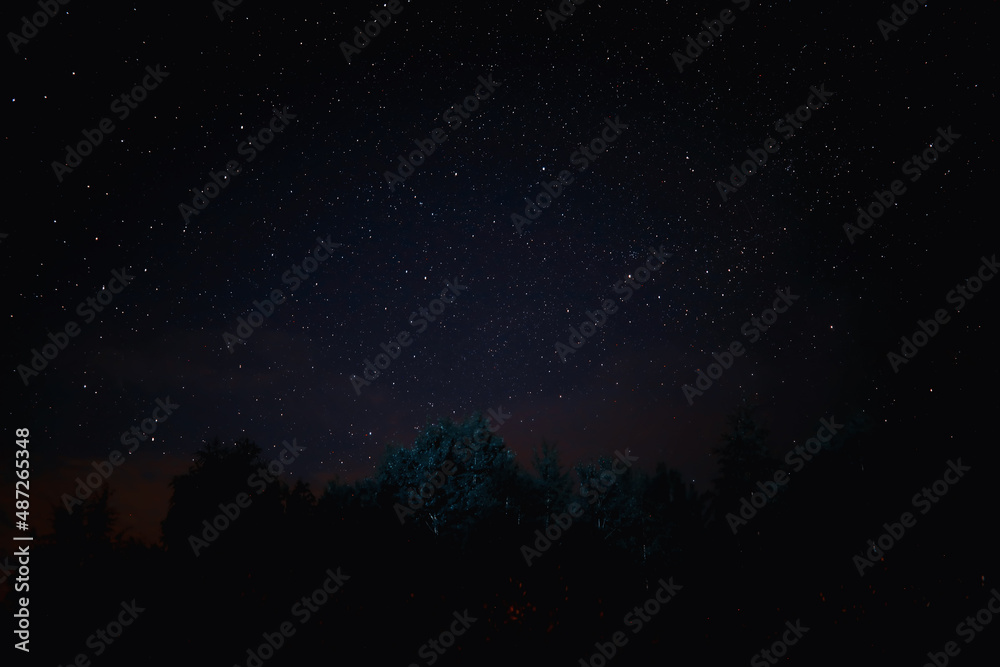 Wall mural night sky. stars and galaxies in the sky at dusk.