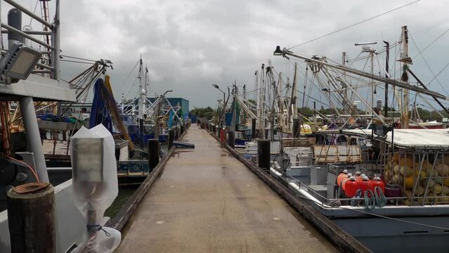 Commercial fishing boats moored at a wharf and dock. Near the fish market. The Spit, Sunshine Coast, Australia.
