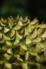 Closeup view of ripe durian on blurred background