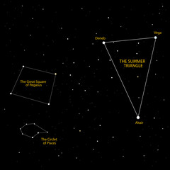 The summer triangle stars chart in the Northern Hemisphere