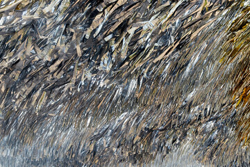 abstract background of decorative strips of silver film