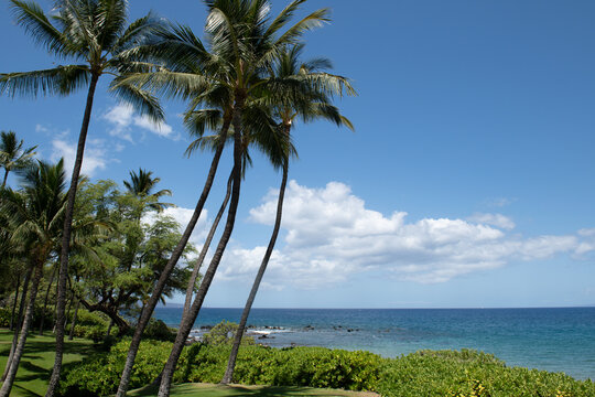 Scenic Hawaiian landscape. Scene Beach on the Island of Maui, Hawaii.