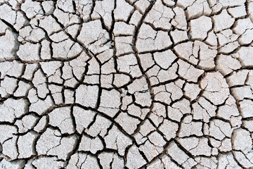Cracked soil. Texture of grungy dry cracking parched earth. Global warming effect