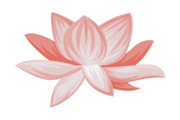 Pink Lotus Flower as China Object and Traditional Cultural Chinese Symbol Vector Illustration