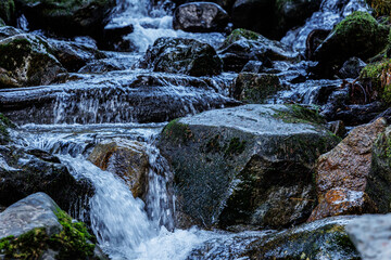 waterfall in the forest