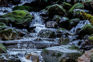 waterfall in the forest