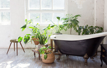 Bathroom interior with windows and plants