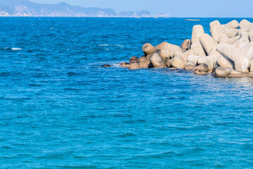 Fototapeta premium Concrete tetrapods forming breakwater