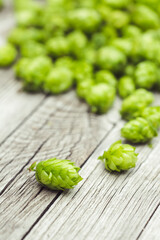 fresh bio hop