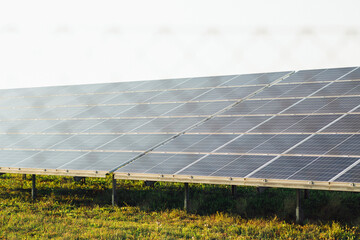 solar panel renewable energy