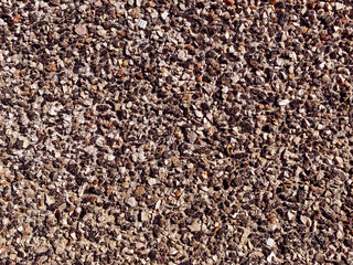 wall made of stones and shells