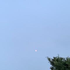 하늘 멀리 보이는 작은 달, 초저녁 달이 보이는 하늘 / A small moon that can be seen far away from the sky, a sky that can be seen early in the evening 