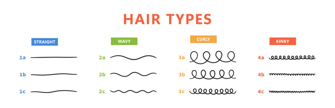 Classification of hair types - straight, wavy, curly, kinky. Scheme of different types of hair. Curly girl method. Vector illustration on white background.