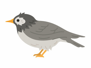 横から見た、ムクドリのイラスト