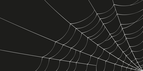 Scary spider web. White cobweb silhouette isolated on black background. Doodle spideweb angle. Hand drawn cob web for Halloween party. Vector illustration.