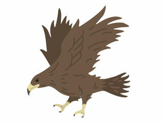 飛んでいる、鷹のイラスト