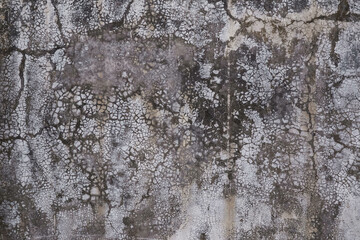 Grunge old rough cement wall texture. Abstract grunge concrete background for pattern.