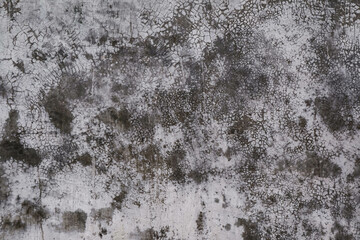 Textured dirty rough cement concrete background. Grunge wall for pattern and background.