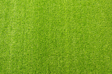 Plakat green grass texture