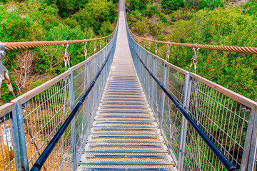 Obraz premium suspension bridge in the forest