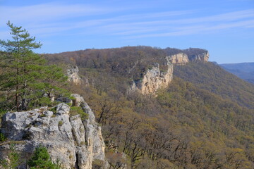 Stone rocks in the park