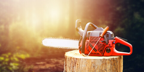 Chainsaw that stands on a heap of firewood in the yard on a beautiful background of green grass and...