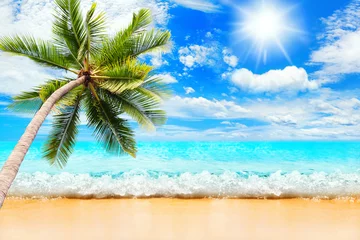 Poster Tropical island sea beach landscape, green coconut palm tree leaves, turquoise ocean water waves, blue sky sun white clouds, yellow sand, summer holidays, vacation, travel, beautiful paradise nature © Vera NewSib