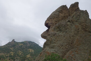 a stone rock in the form of a head