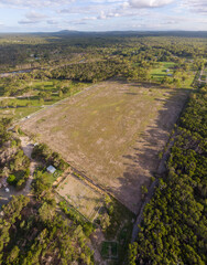 field surround by forrest