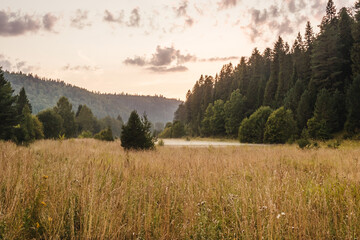 Beautiful sunset landscape, forest and field with fog