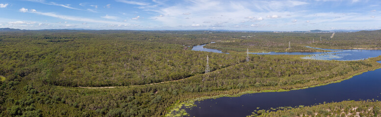 powerlines through the forest