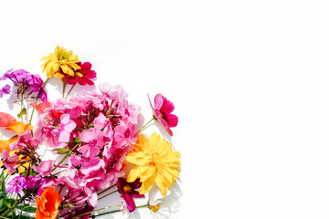 Flowers composition on white background with copy space.