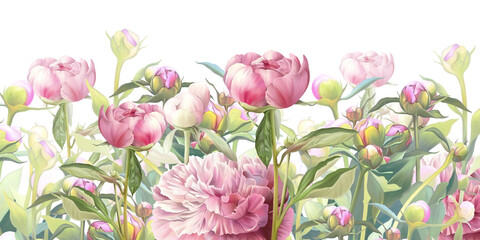 Delicate pink flowers. Peonies illustration. Beautiful postcard, picture, mural, wallpaper, photo wallpaper, wedding invitation design.