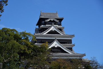 Fototapeta premium 熊本城、大天守、復旧後