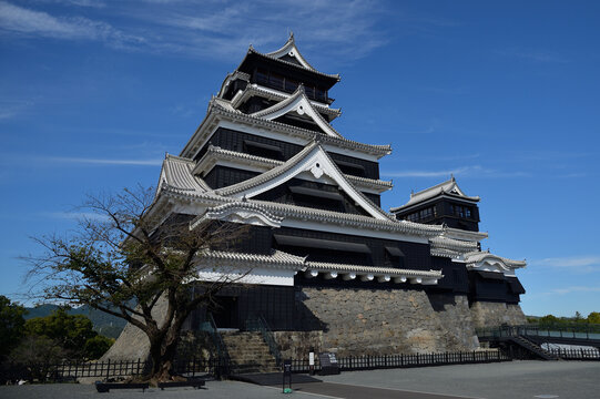 熊本城 の画像 5 418 件の Stock 写真 ベクターおよびビデオ Adobe Stock 熊本城 の画像 5 418 件の Stock 写真 ベクターおよびビデオ Adobe Stock