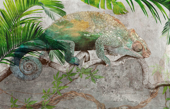 Graphic drawn chameleon on grey concrete grunge wall. Great choise for wallpaper, photo wallpaper, mural, card, postcard. Design for modern and loft interiors.