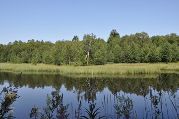 Das schwarze Moor in der Rhön