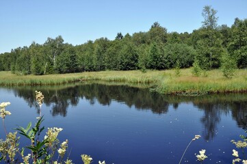 Das schwarze Moor in der Rhön